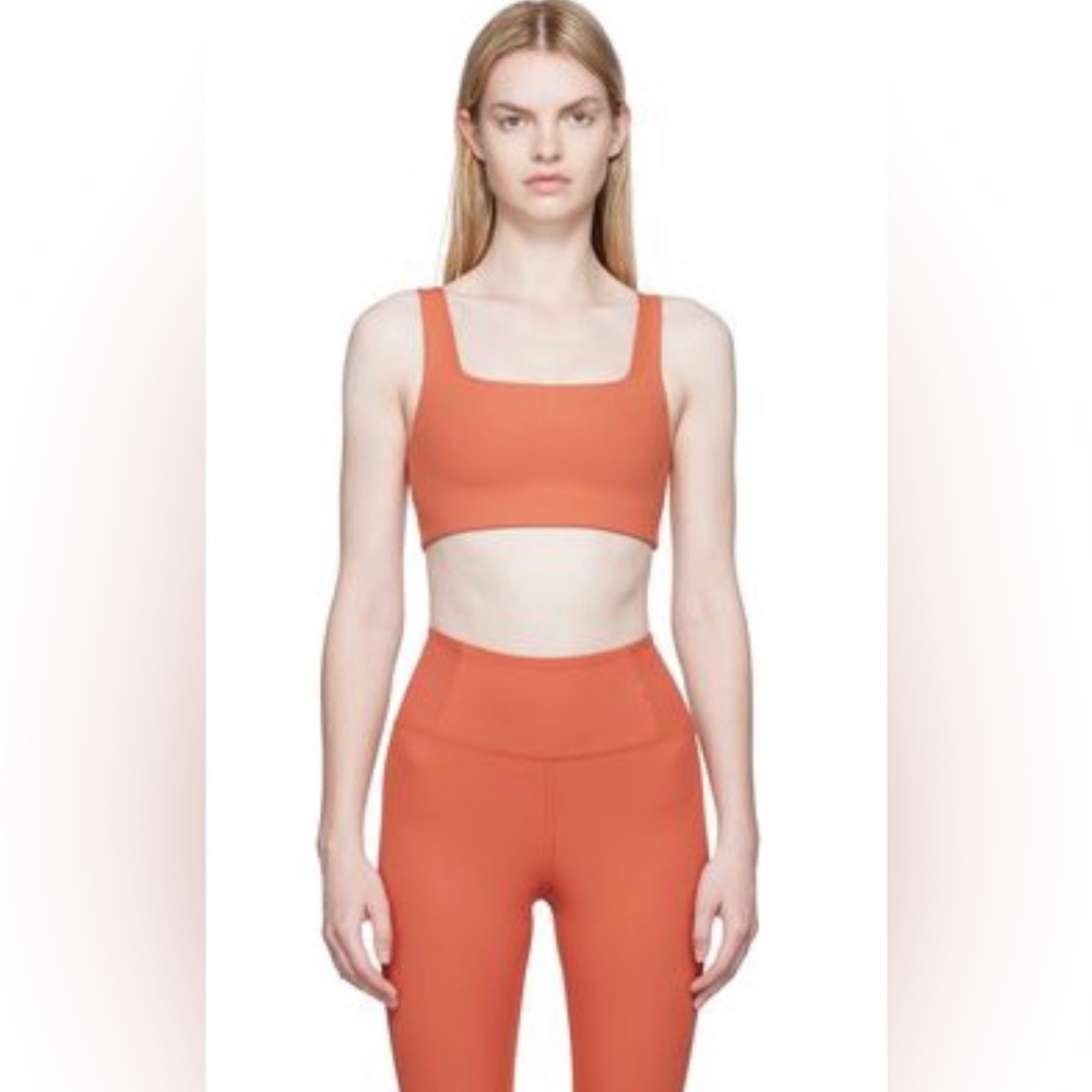 EUC Girlfriend collective Tommy Bra cropped in sold out color Brick (size M)